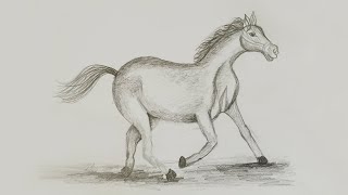 learn how to draw a horse  Easy StepbyStep Guide [upl. by Eidroj325]