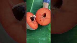 SAWO RAKSASA Mamey sapote [upl. by Machute]