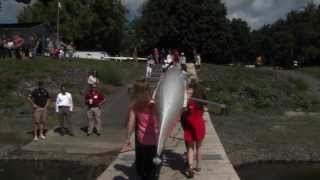 UMass Rowing Boathouse Dedication [upl. by Eob]