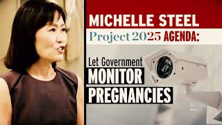 DCCC calls Michelle Steel quotMAGA Michellequot [upl. by Cataldo]