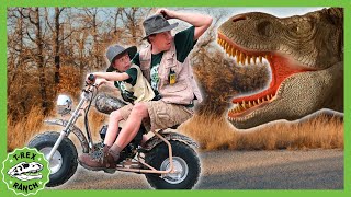 Is that the Mommy TRex Vehicles Dinosaurs  MORE  TRex Ranch Dinosaur Videos for Kids [upl. by Haimes]