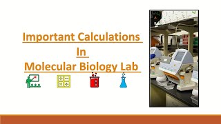 calculations in molecular biology lab part 1 [upl. by Rancell96]