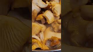 Cooking Chanterelle mushroom Subscribe for more [upl. by Ahsiekram]