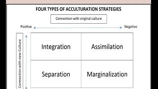 ACCULTURATIVE STRATEGIES [upl. by Nylra]