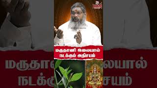 மருதாணி இலையால் நடக்கும் அதிசயம் Palaru Swamigal [upl. by Adnac]