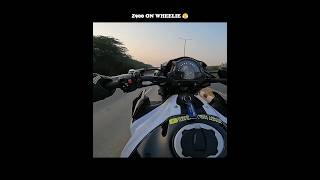 Super Bike  Z900 On Wheelie 😤  superbike z900 wheelie youtubeshorts viralshorts shorts [upl. by Kciderf868]