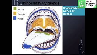 Salivary glands histology practical part 3 [upl. by Barhos]