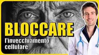 Il MECCANISMO per fermare lINVECCHIAMENTO con Prof Marco Demaria [upl. by Heriberto]