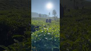 Kuch paise bachake trekking life naturelovers content [upl. by Souvaine]