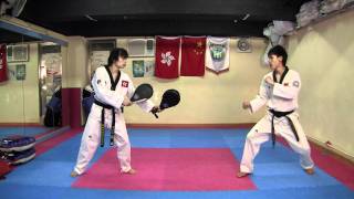 【Taekwondo】Combo Kicks Turning Kicks Single Kicks [upl. by Reneta]