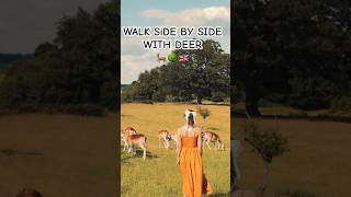 Unique experience in Knole Deer Park 🌳🦌visitkent deerpark visitengland peacefulvibes [upl. by Atnohs]