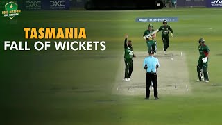 Fall of Tasmania Wickets  Pakistan Shaheens vs Tasmania  Top End T20 Series Darwin 2024  MA2A [upl. by Ashbaugh273]