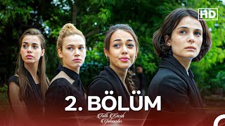 Tatlı Küçük Yalancılar 2 Bölüm FULL HD [upl. by Selwyn]