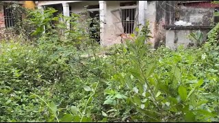 Amazing transformation of abandoned house Cutting overgrown grass Cleaning [upl. by Nagram]