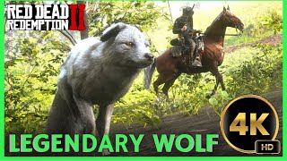 LEGENDARY FOX  4K HD RED DEAD REDEMPTION 2 reddeadredemtion2 [upl. by Arraeit]