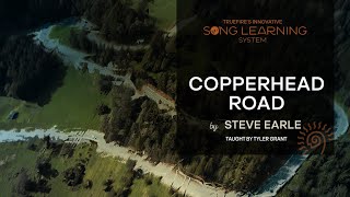 🎸 Learn How to Play “Copperhead Roadquot by Steve Earle  Guitar Lesson  Overview  TrueFire [upl. by Euqinor929]