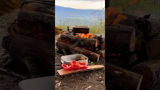 Campfire cooking bushcraft solocamping solohiking survival outdoors campingalone camping [upl. by Lamberto]