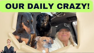 VLOG Dont Miss This Our Crazy Day In The Life Of A Doberman [upl. by Caplan]