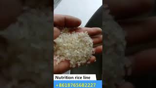 konjac rice shirataki rice machine nutrition rice line artifical rice machine [upl. by Moorefield]