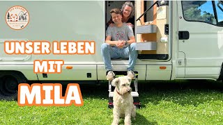 Reisen und Leben mit Hund im Wohnmobil 🐶 Monatsrückblick Juni 2024 Vlog 28 neue Markise Ausgaben [upl. by Thaddus]