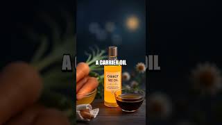 Carrot Seed Oil AntiAging Elixir [upl. by Rikahs]