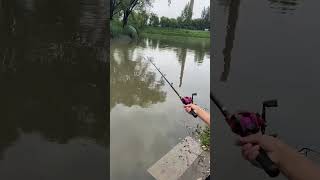 Best affordable fishing baits viralvideo youtubeshorts [upl. by Dennett]