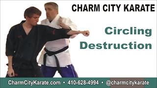 Circling Destruction  Kenpo self defense technique for a left punch [upl. by Mars]