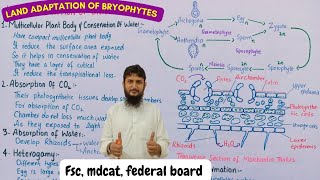 land adaptation of bryophytes class 11 [upl. by Ammann]