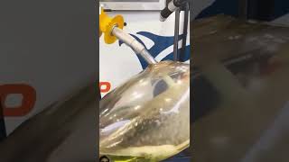 Transparent fuel tank in bikes  Japan unbelievable transparent bikes experiment rcboat orbyt [upl. by Margalit103]