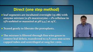 Protoplast Culture [upl. by Frederic]