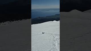 Eine Rutschpartie auf dem Vulkan Osorno 2652m in Chile abenteuer chile nature zuzweit glück [upl. by Wordoow390]