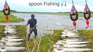 Wallago catfish Video  Tengara Fish catching  Murrel Mash macli  Ahtesham khan Fishing [upl. by Ibor]