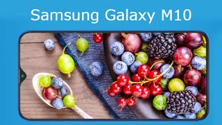 Samsung Galaxy M10 Features [upl. by Elirpa]