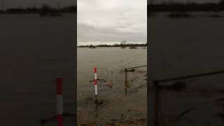 Autofähre WalsumOrsoy  23122023 Hochwasser am Rhein [upl. by Euqinot]