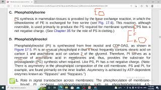 294 phosphatidyl serine and phosphatidylinositol synthesis [upl. by Tiertza80]