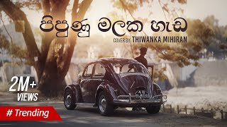 Pipunu Malaka  පිපුණු මලක හැඩ  Cover by Thiwanka Mihiran [upl. by Ashatan]