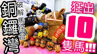 【物理喵夾】EP58【夾馬仔長篇02】實測銅鑼灣12cm馬仔機！How much did it cost to win 10 horses from the claw machine [upl. by Alwin249]