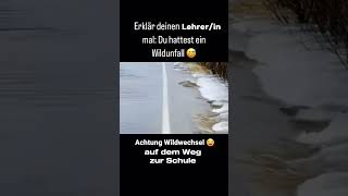 Erklärt es eurem Lehrer 🧐🤣 LAMI SussyEmily shortsyoutube shortvideo [upl. by Anib984]