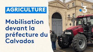 Colère des agriculteurs  rassemblement devant la préfecture du Calvados [upl. by Awuhsoj]