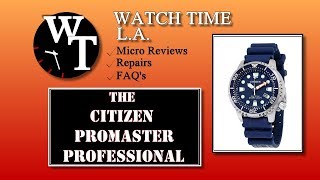 Citizen Promaster Professional Review BN015109L [upl. by Aikcin]