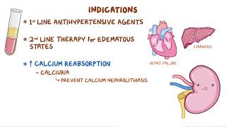 Thiazide and Thiazide like Diuretics  Renal pharmacology  Osmosis [upl. by Natica]