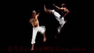 The Best Capoeira Video Ever [upl. by Anirual773]