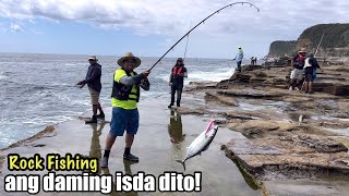 bonito fish season is here  Rock Fishing Avoca Beach [upl. by Jill]