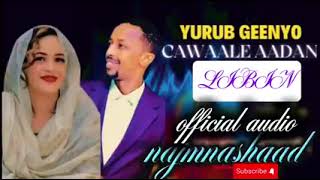 AWALE ADAN FT YURUB GEENYO NEW SONG LIBIN 2025 OFFICIAL MUSIC HD [upl. by Tirzah685]