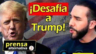 Bukele lo reta Trump es humillado por líder salvadoreño [upl. by Yrian]