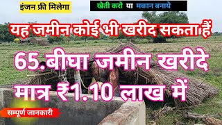 65बीघा जमीन खरीदे मात्र ₹110 लाख रुपये में agriculture land for sale [upl. by Ofelia707]