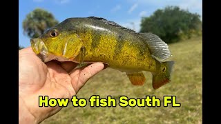 Complete Guide to Fishing South Florida [upl. by Sekyere]