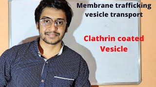 Cell biology  Vesicle transport   clathrin coated vesicle formation [upl. by Rehpitsirhc]