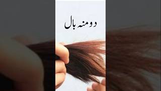 Split hair herbal remedyhaircarehairfallsplitendsazeemicolourtherapyandhealth [upl. by Ermanno276]