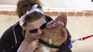 Pit Bull and Owner Reunited  Pit Bulls amp Parolees [upl. by Fidela]